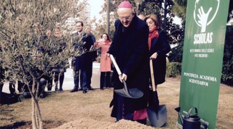 El Arzobispo de Madrid planta un Olivo de la Paz en los Jardines del Descubrimiento