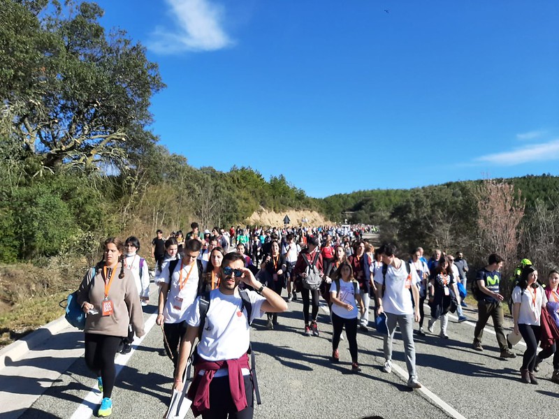 51960150203 84bd6b78c2 c