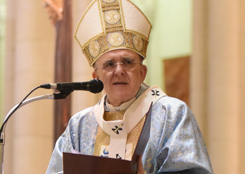 Universidad San Dámaso