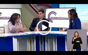 Video 1