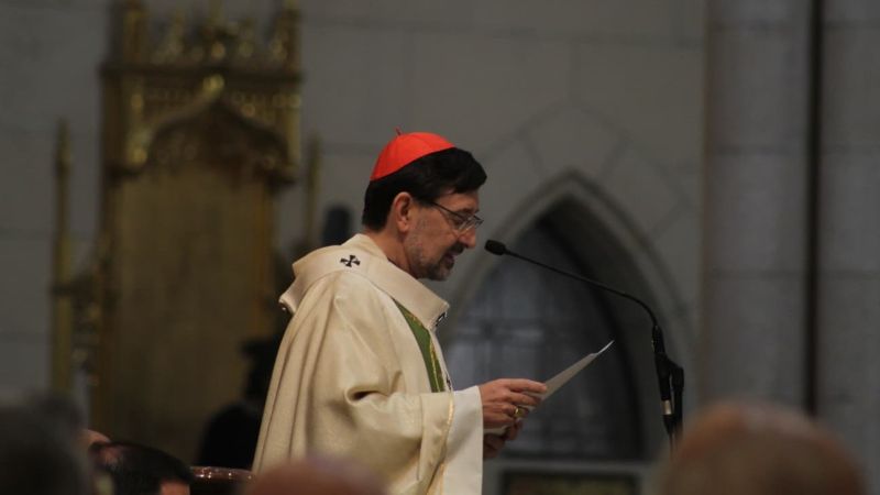 Cardenal Cobo Domingo Buen Pastor