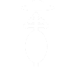 escudo-silueta
