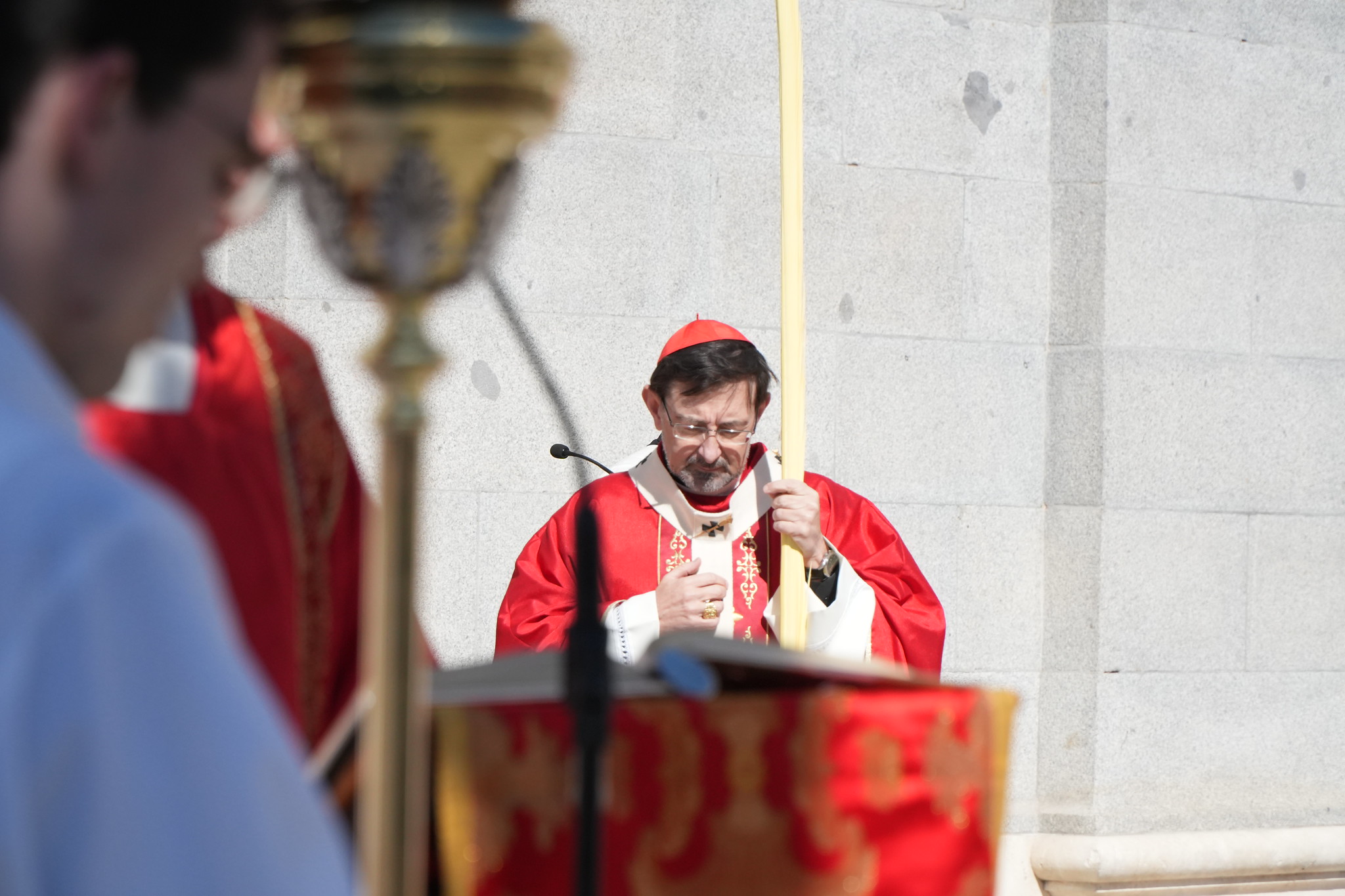 2026-03-29 - Misa del Domingo de Ramos