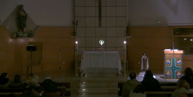 ImagenFielesVigiliaPetalosRosa23