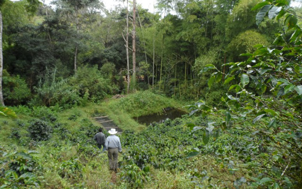 manosunidas colombia2