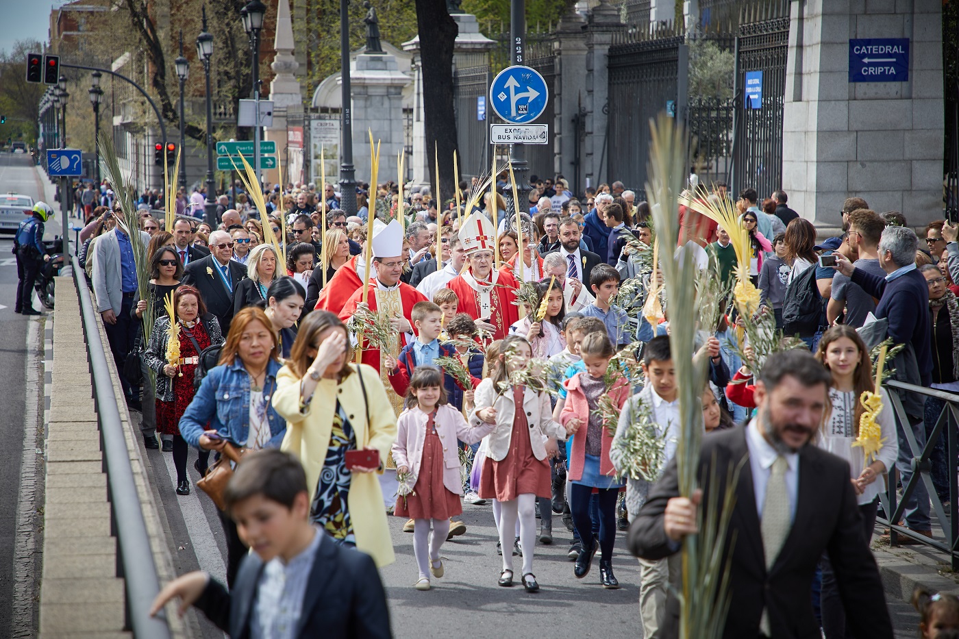domingo ramos procesion