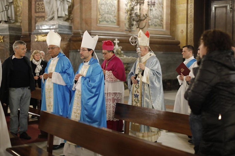 cuidado creacion concelebrantes