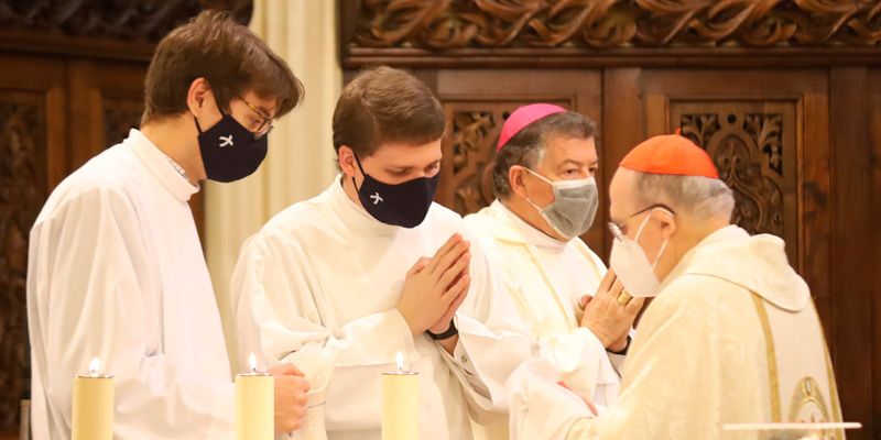 Patron san Damaso dic20 800x400 3