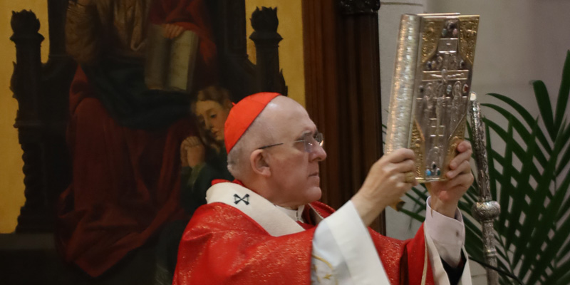 Apertura curso san damaso 6oct20 800x400 1