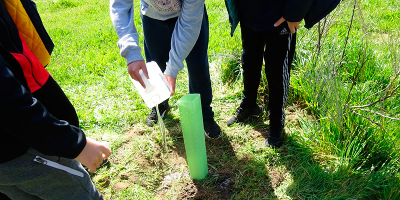 Plantacion arboles 800x400 1