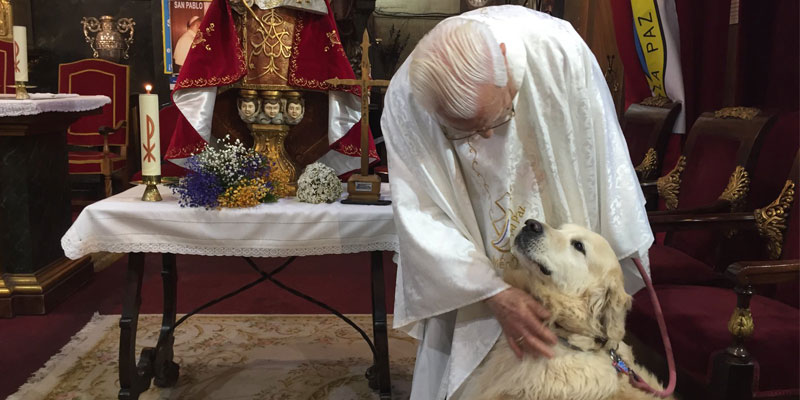 San Anton padre angel 800x400 1