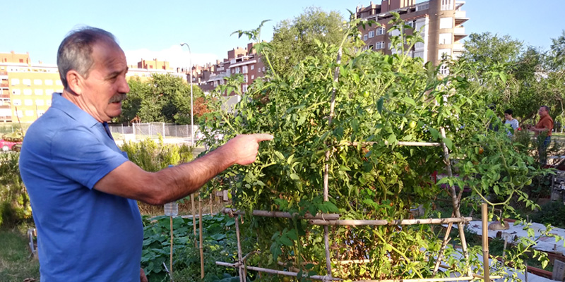 Huerto Las Rosas 800x400 1