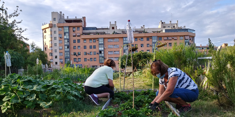 Huerto Las Rosas 800x400 2
