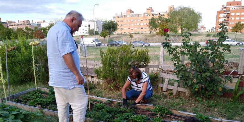 Huerto Las Rosas 800x400 7