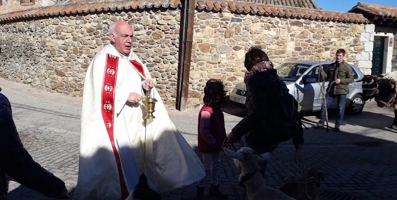 Detalle Bendicion Mascotas