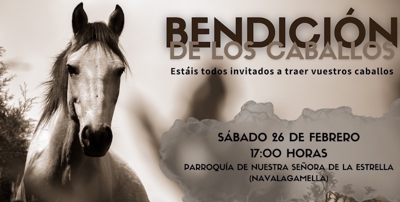 Bendicion Caballos2