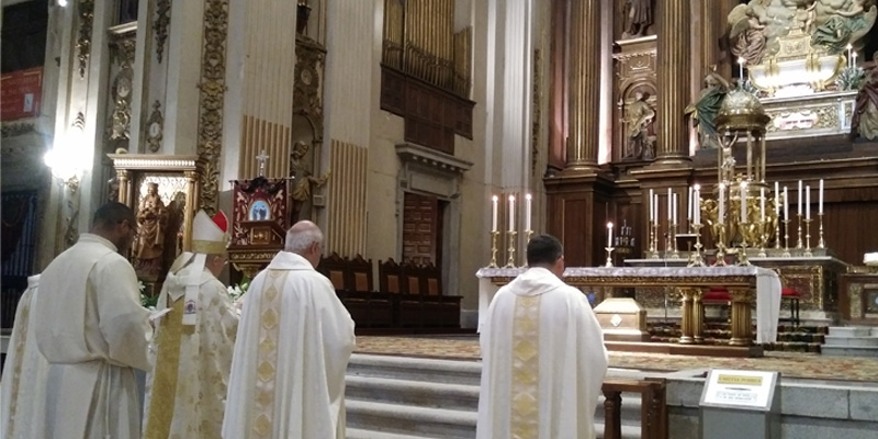 Misa peregrino cardenal espaldas