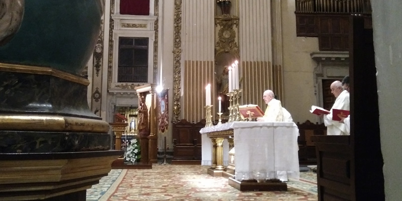 Misa peregrino cardenal lateral