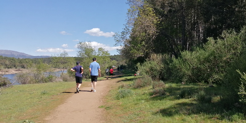 Taller san jose ruta