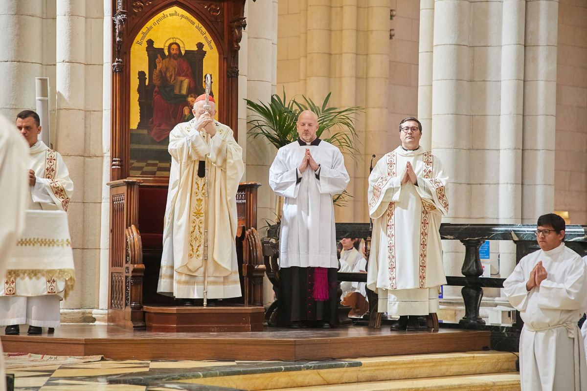 MisaCrismal cardenal 1200