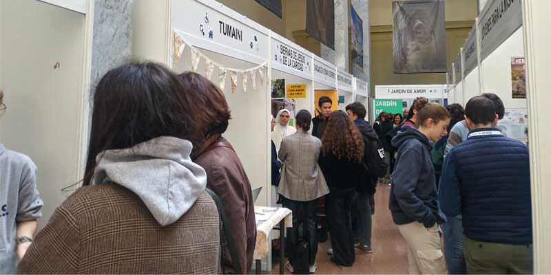 Volunfair general buena