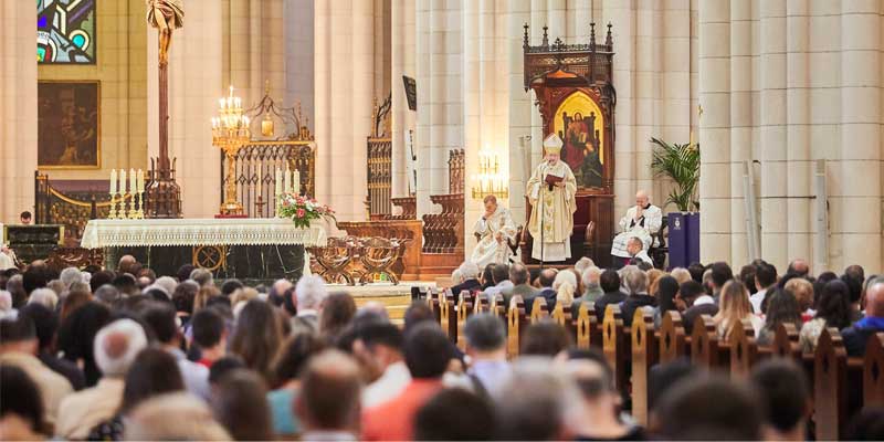Bodas oro y plata general
