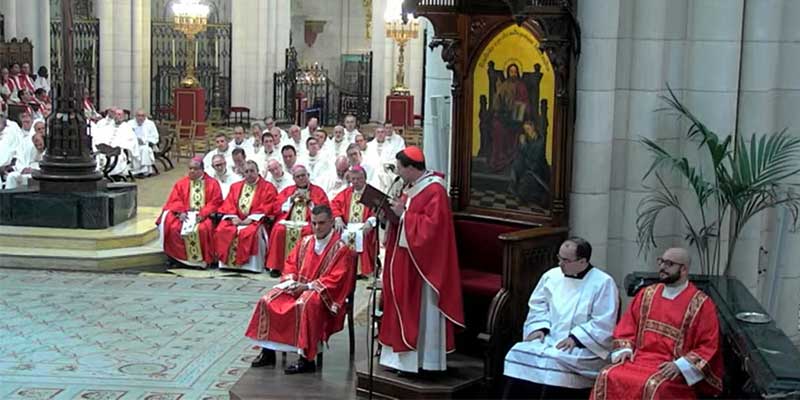 San Damaso inauguracion misa cobo