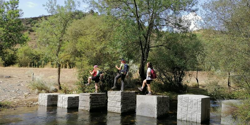 Camino del anillo puente 8x4