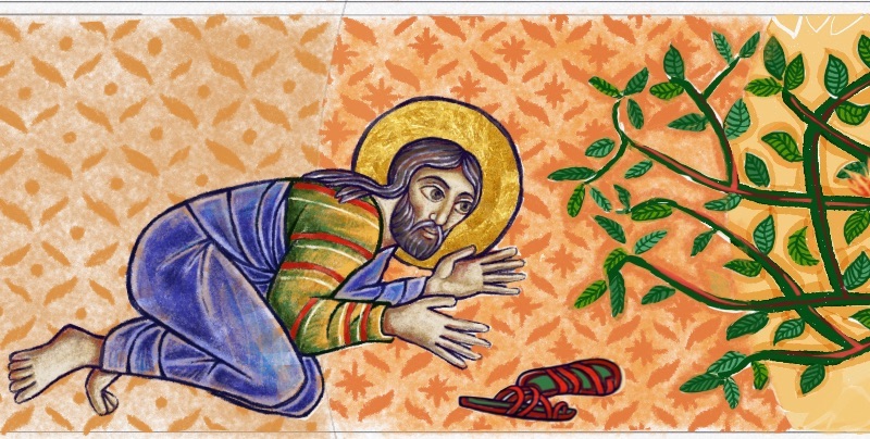 Detalle 1 Capilla SG24