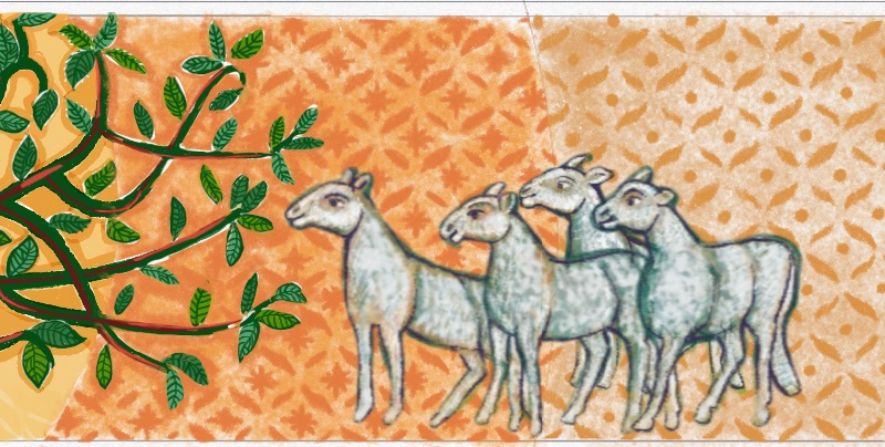 Detalle Corderos Capilla SG24