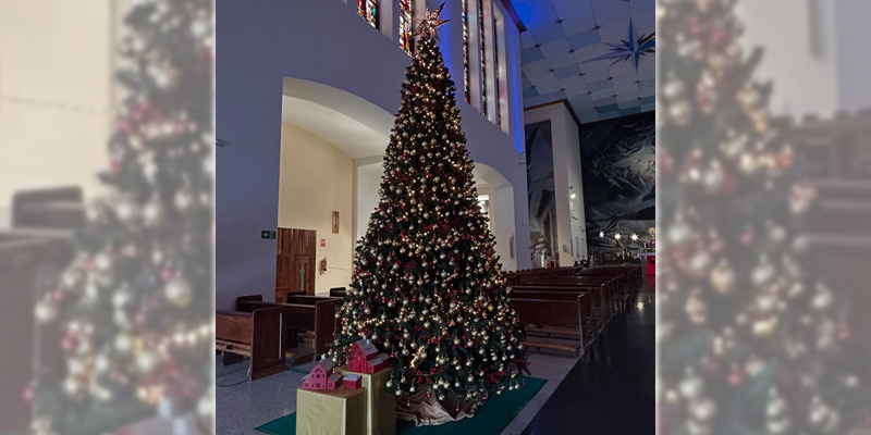 Parroquia Pilar arbol