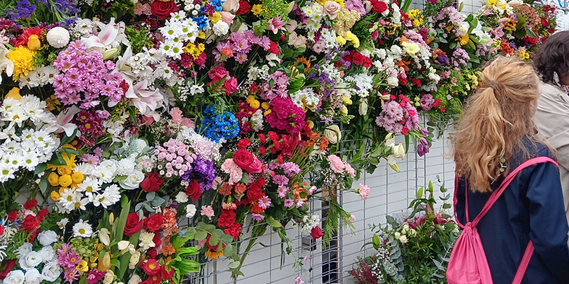 Almudena ofrenda jueves coleta