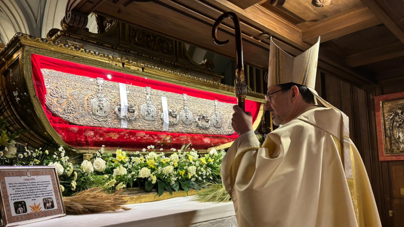 cardenal san isidro