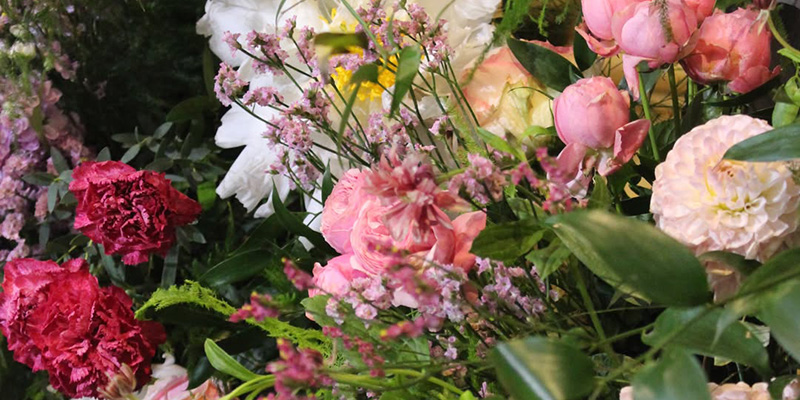 Flores Papa almudena