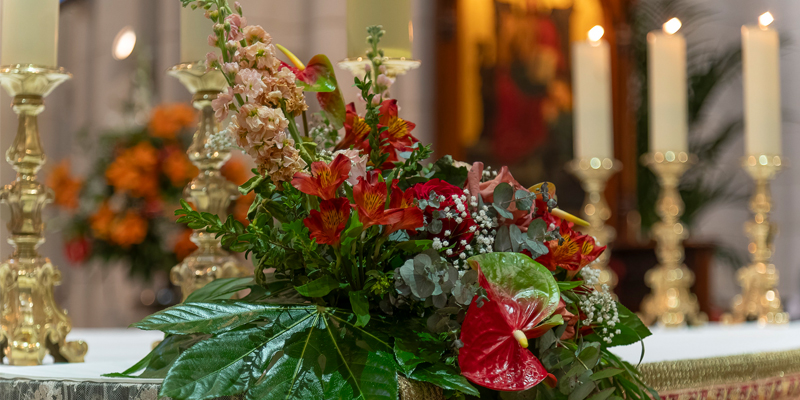 Agenda ss domingo flores