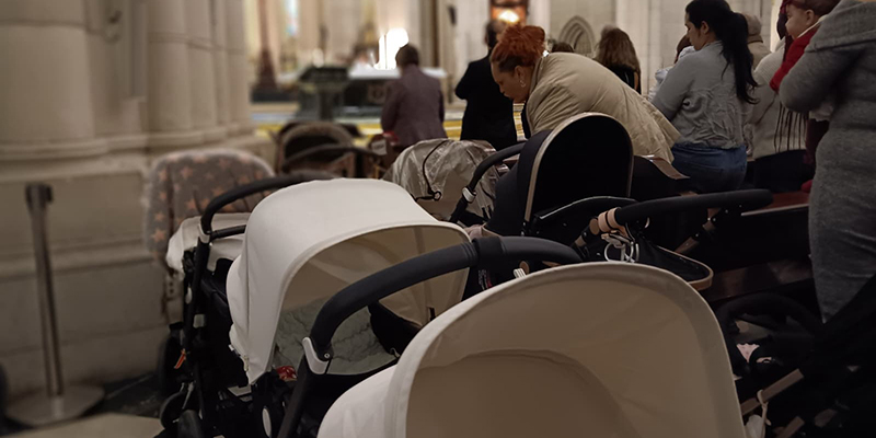 Jornada vida carritos