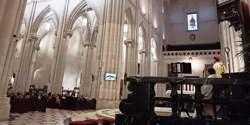 Jornada vida homilia