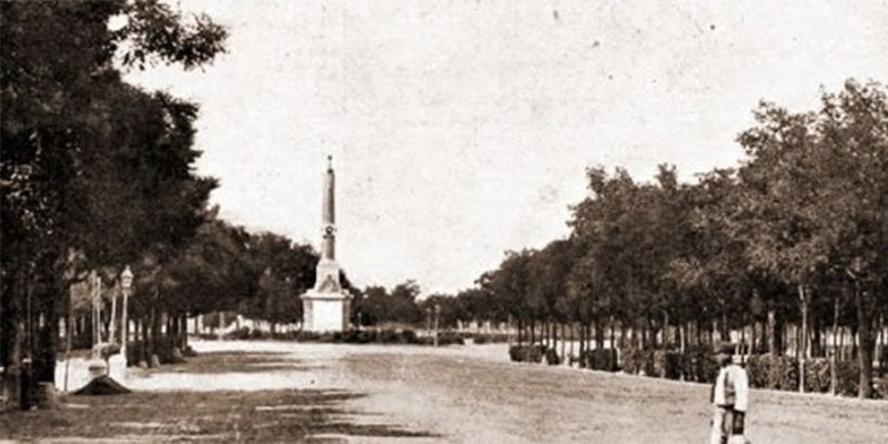 Trinitarias centros obelisco