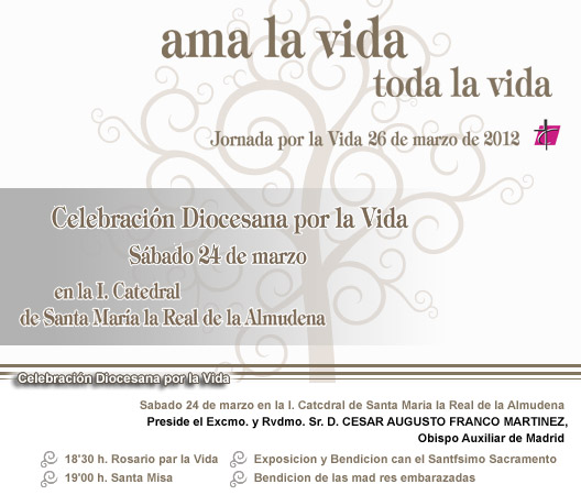 Celebración Diocesana por la Vida y Jornada por la Vida 2012