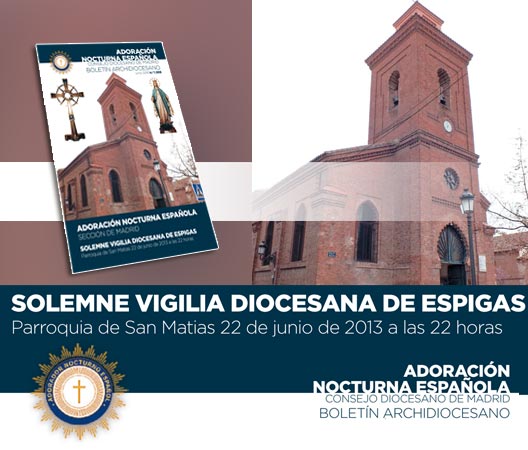 SOLEMNE VIGILIA DIOCESANA DE ESPIGAS 22 de Junio de 2013