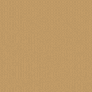 Día del Seminario 2026