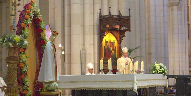 Misa Martinez Camino Fatima 24