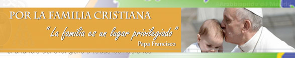 Fiesta de la Sagrada Familia 2013