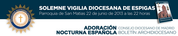 SOLEMNE VIGILIA DIOCESANA DE ESPIGAS 22 de Junio de 2013