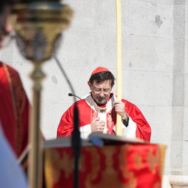 2026-03-29 - Misa del Domingo de Ramos