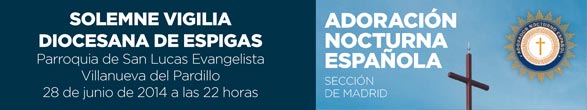 Solemne Vigilia Diocesana de Espigas