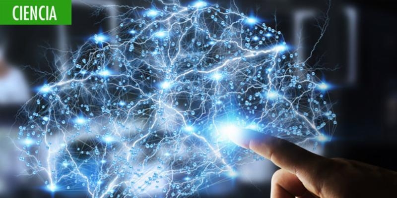 El Colegio Mayor San Pablo CEU acoge la presentaci&oacute;n del libro 'Neuronas y libre albedr&iacute;o'