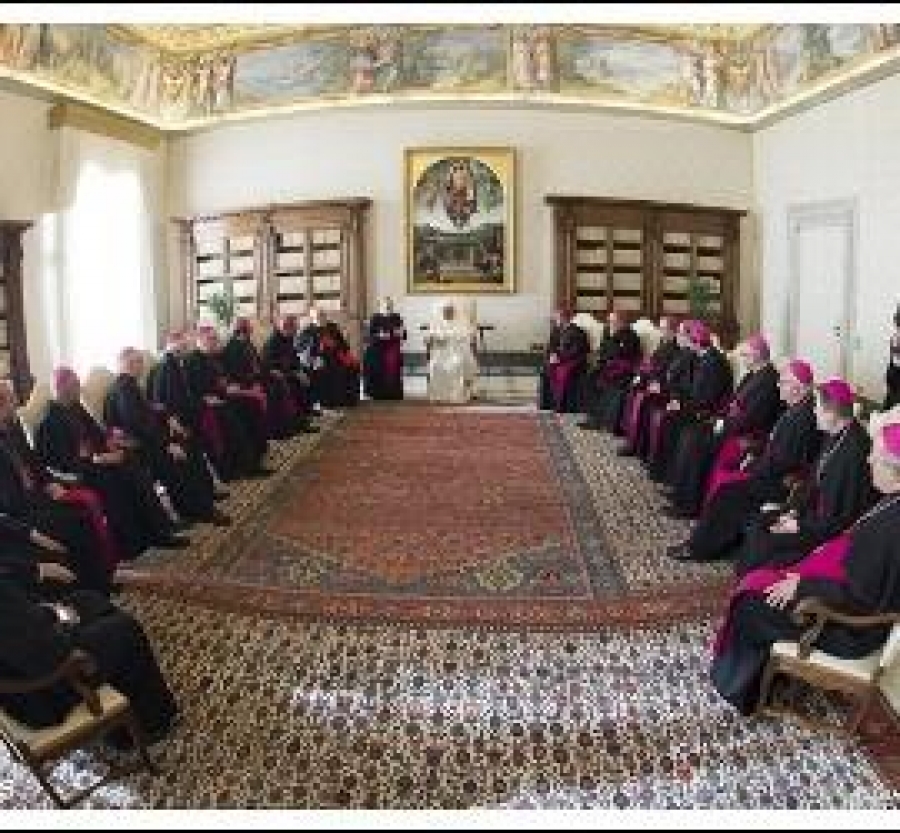 El Papa a los obispos alemanes: Superar la erosi&oacute;n de la fe cat&oacute;lica con una pastoral ''en salida''