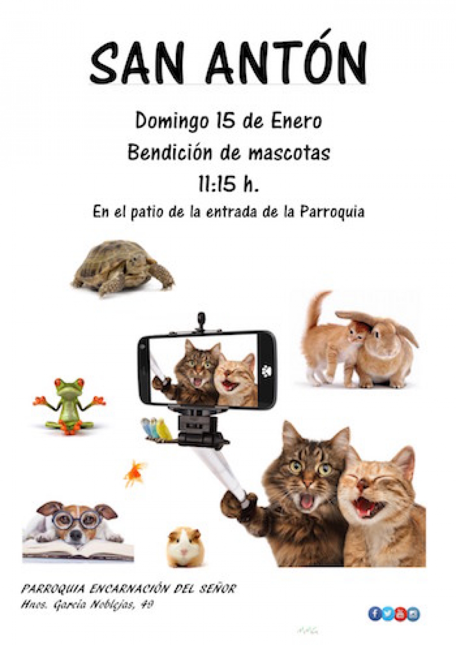 Bendici&oacute;n de mascotas en la parroquia Encarnaci&oacute;n del Se&ntilde;or