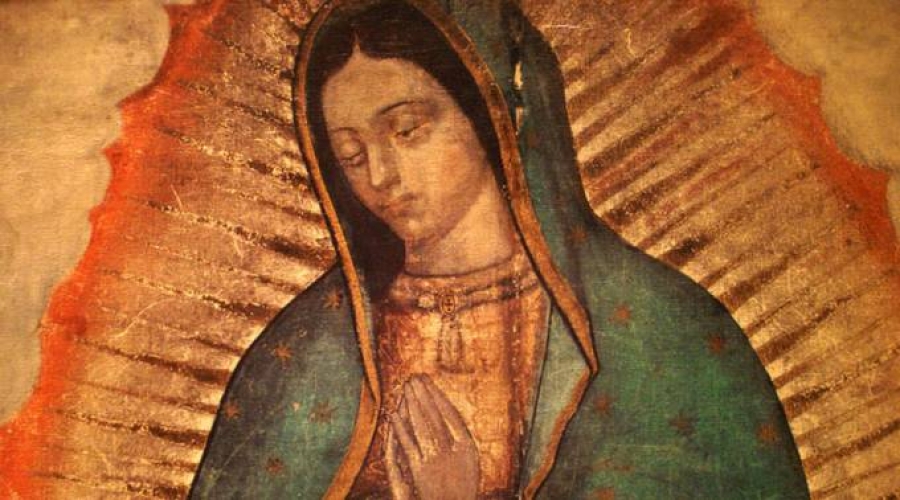 Harán imagen de Virgen de Guadalupe con fotos de familias para el Papa en México